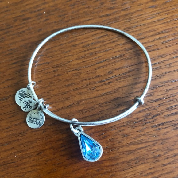 💎 Alex and Ani 💎Charm Bracelet - Picture 4 of 6